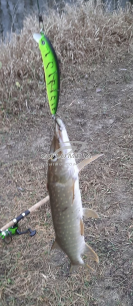 Воблер  Morethan X-Cross 95SSR F