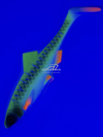 Силиконовая приманка виброхвост 20см